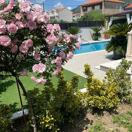 Nana House *